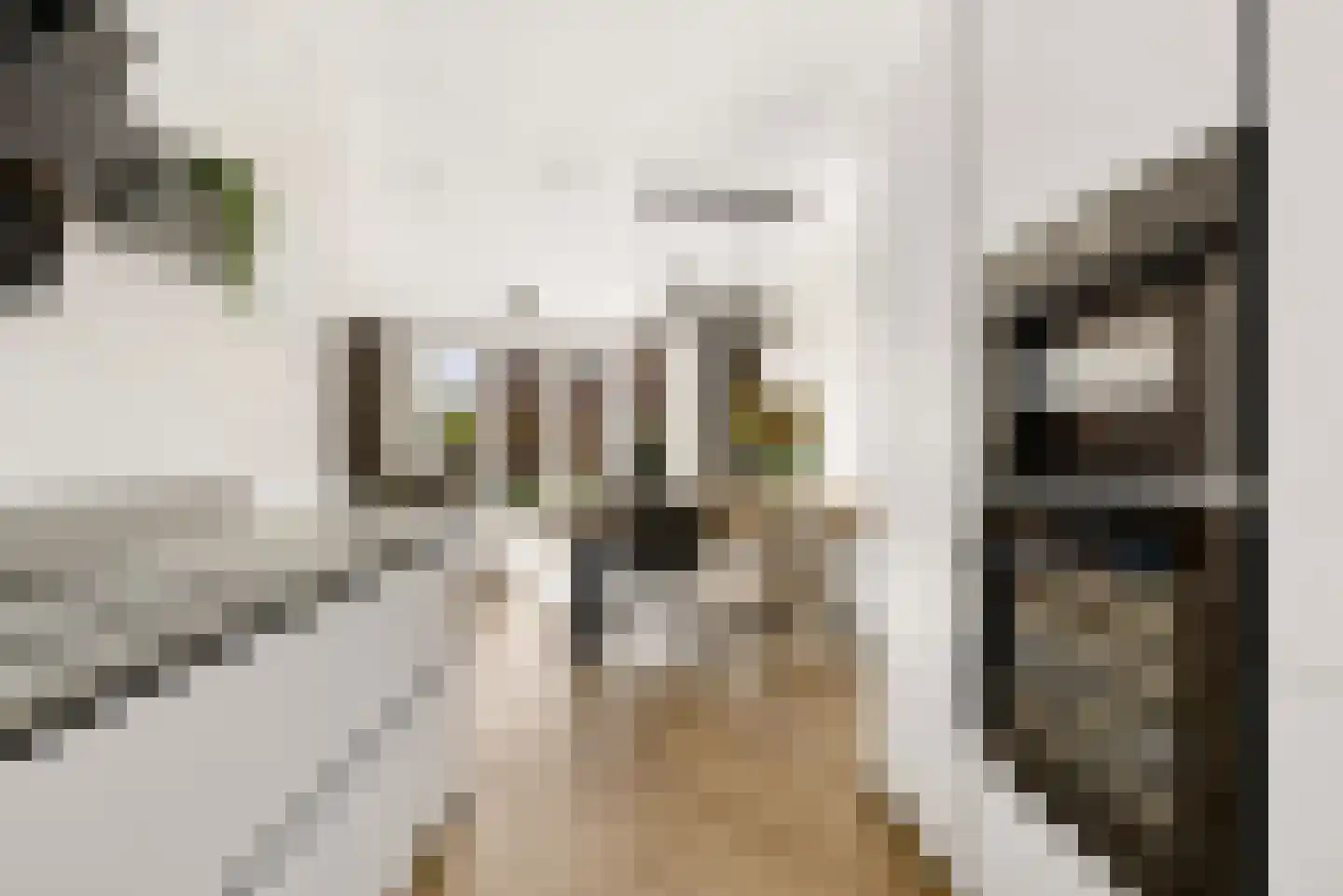 Anna Maria van Schurmanlaan 26 Almere thumbnail 19