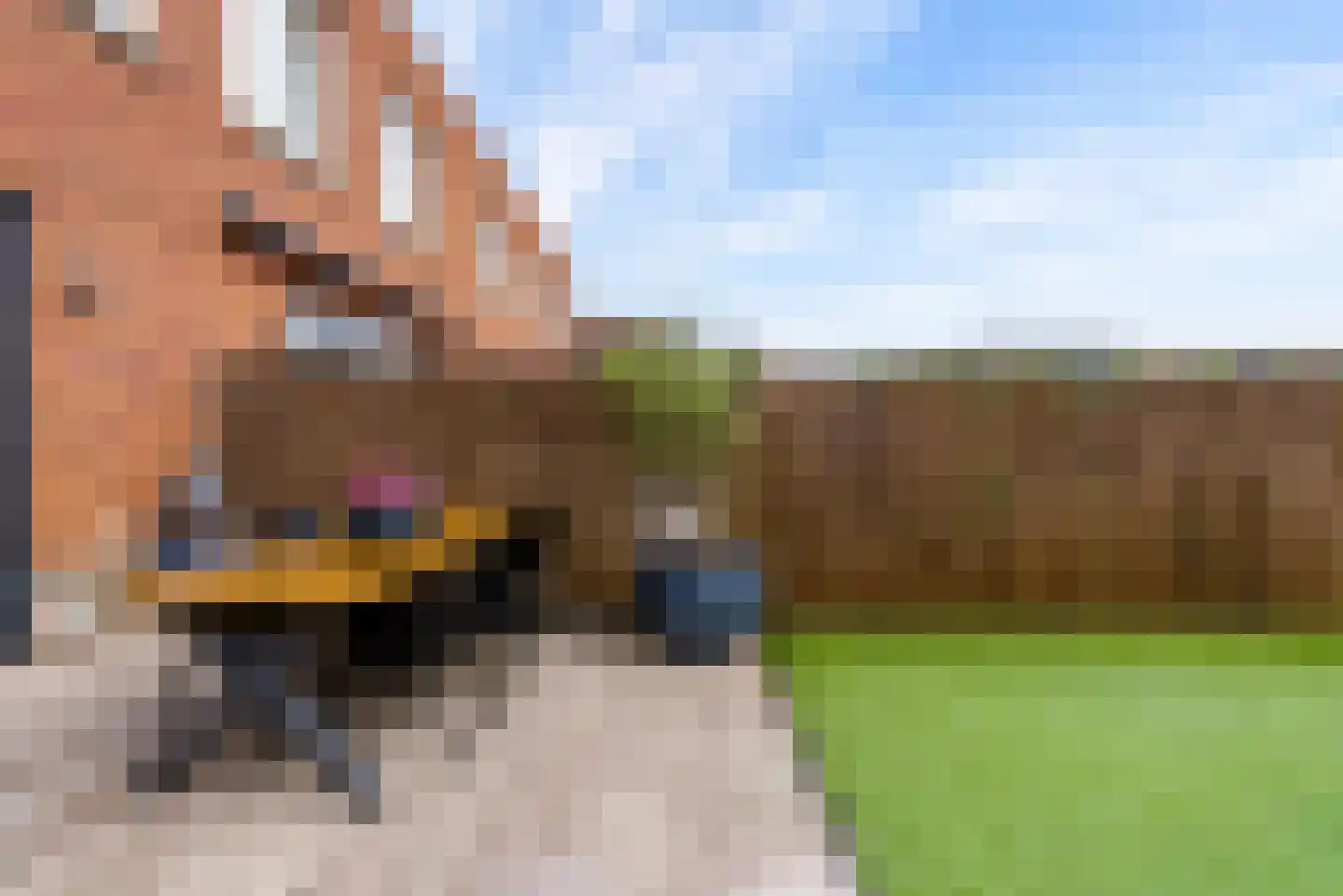 Anna Maria van Schurmanlaan 26 Almere thumbnail 31