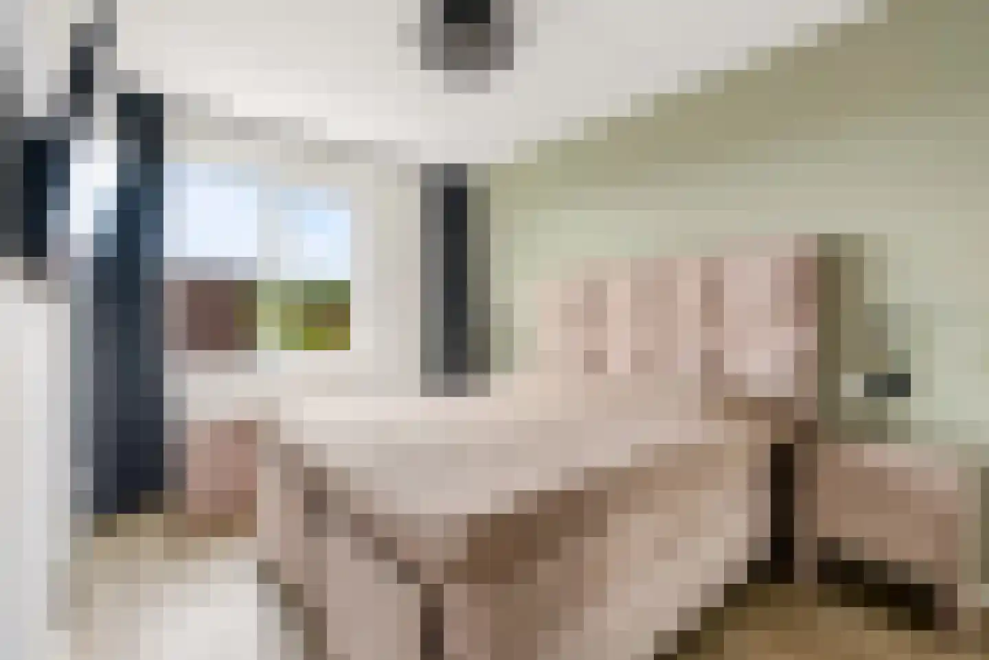 Anna Maria van Schurmanlaan 26 Almere thumbnail 5