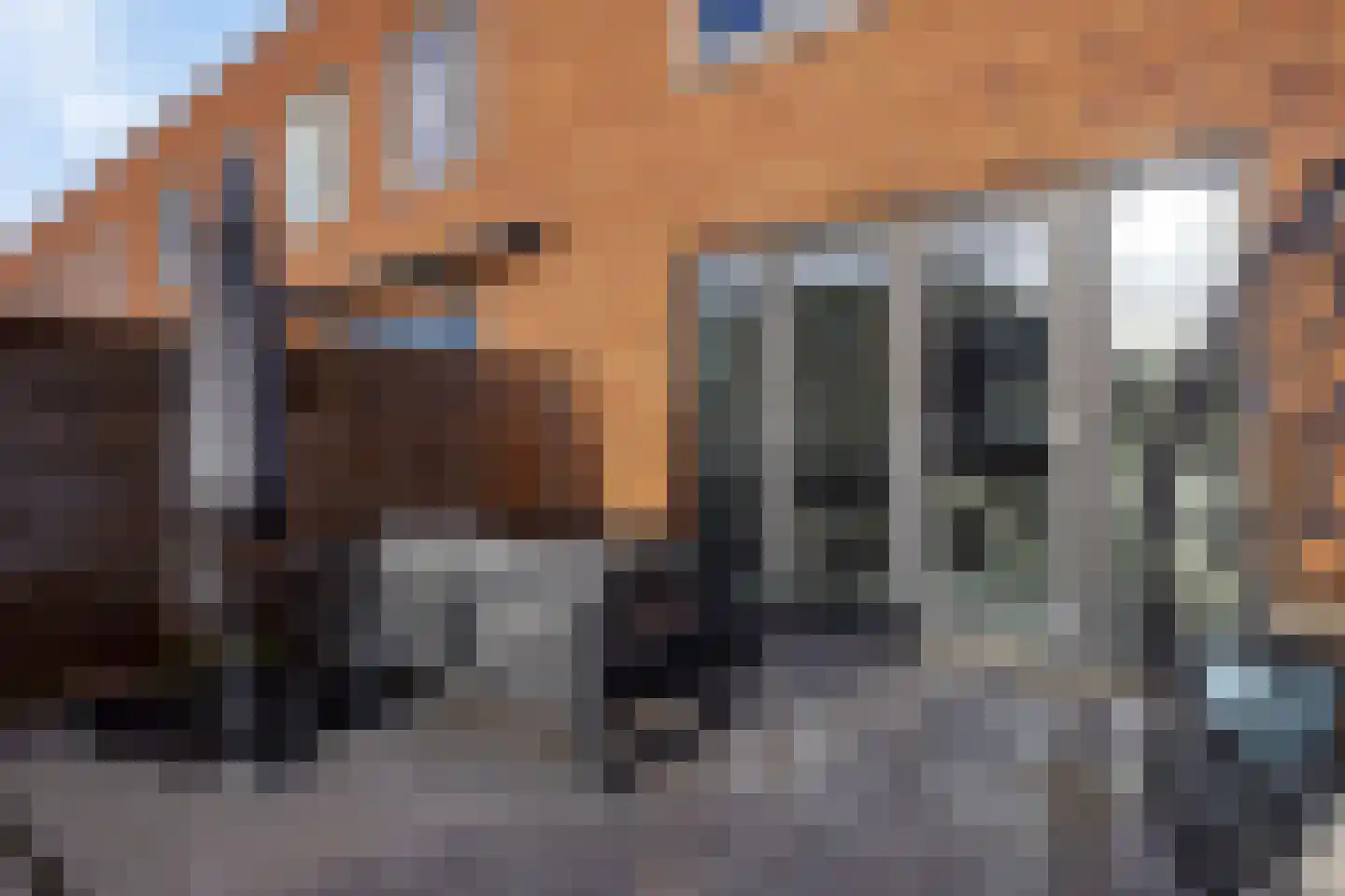 Anna Maria van Schurmanlaan 30 Almere thumbnail 33
