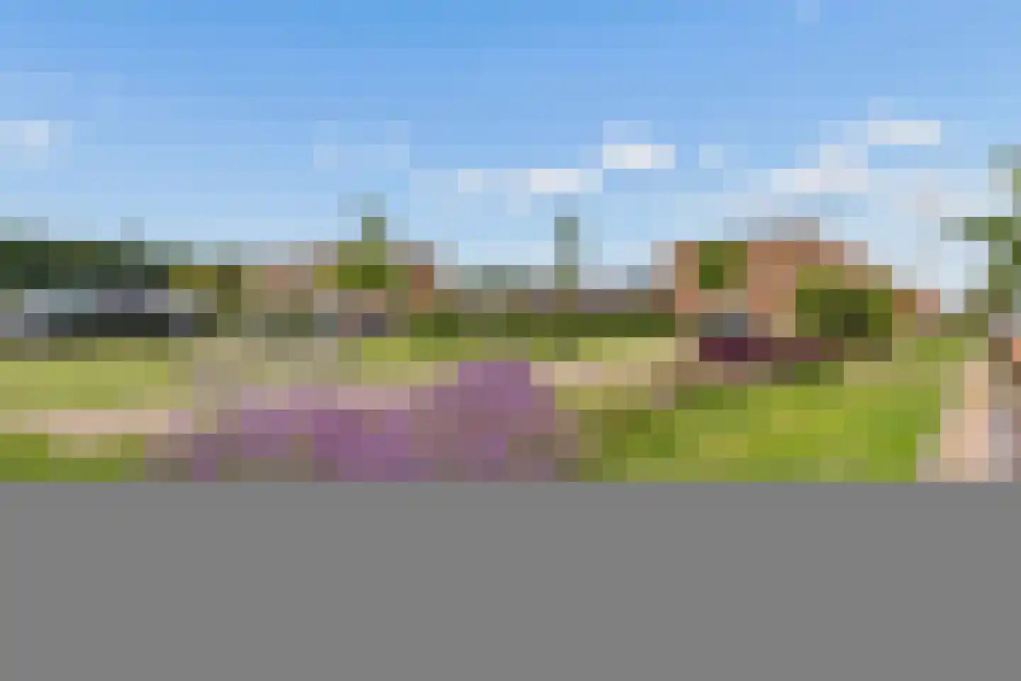 Anna Maria van Schurmanlaan 48 Almere thumbnail 51