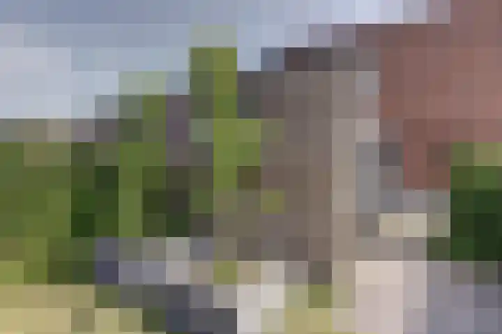 Anna Maria van Schurmanlaan 74 Almere thumbnail 18
