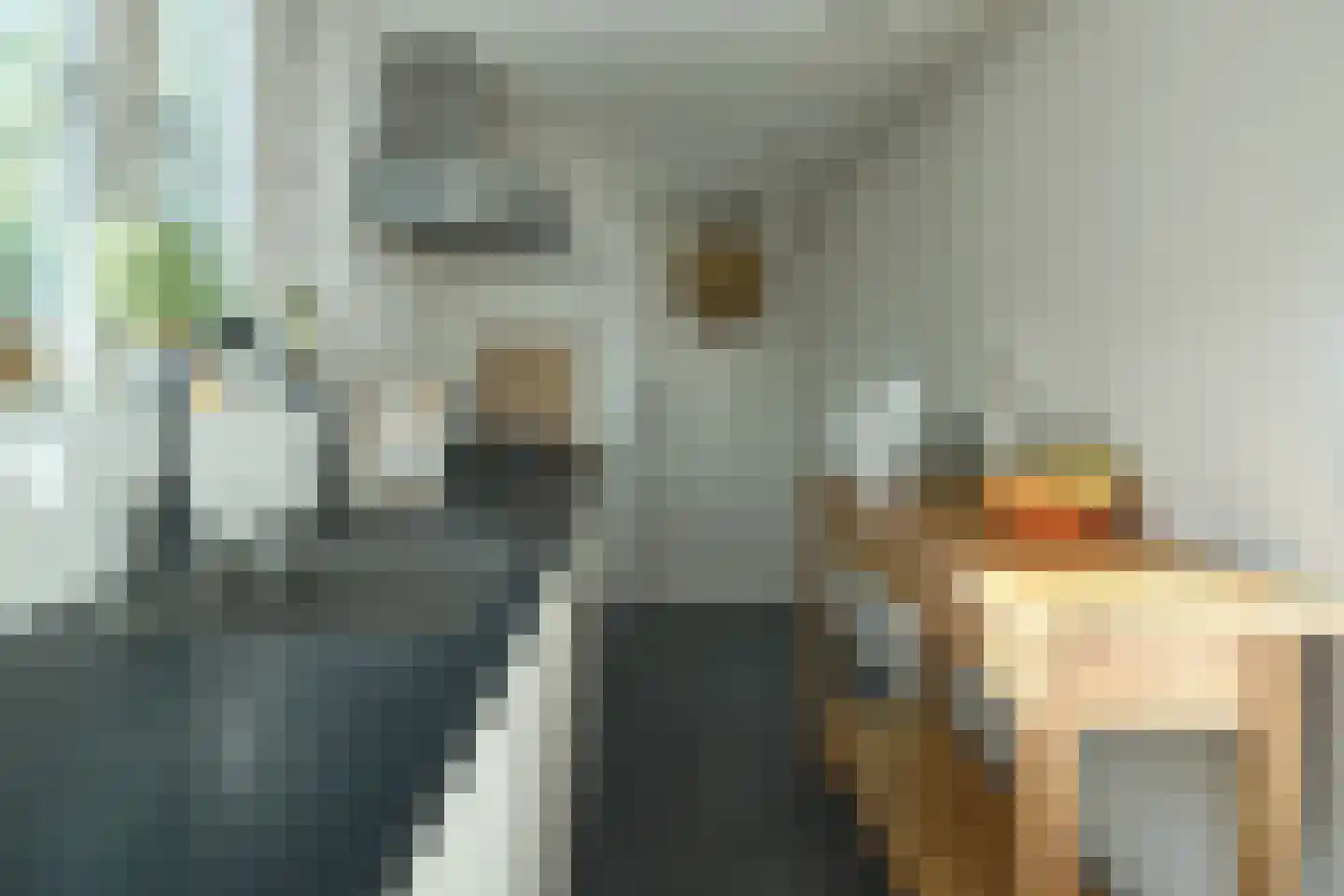 Anna Maria van Schurmansingel 23 Franeker thumbnail 18
