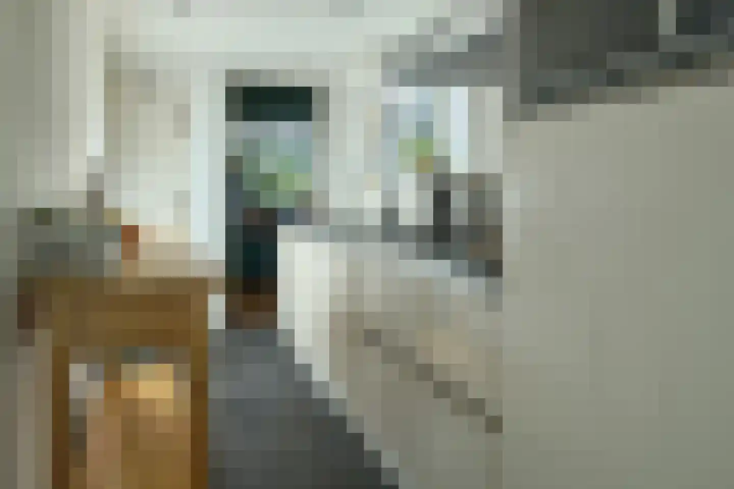 Anna Maria van Schurmansingel 23 Franeker thumbnail 21