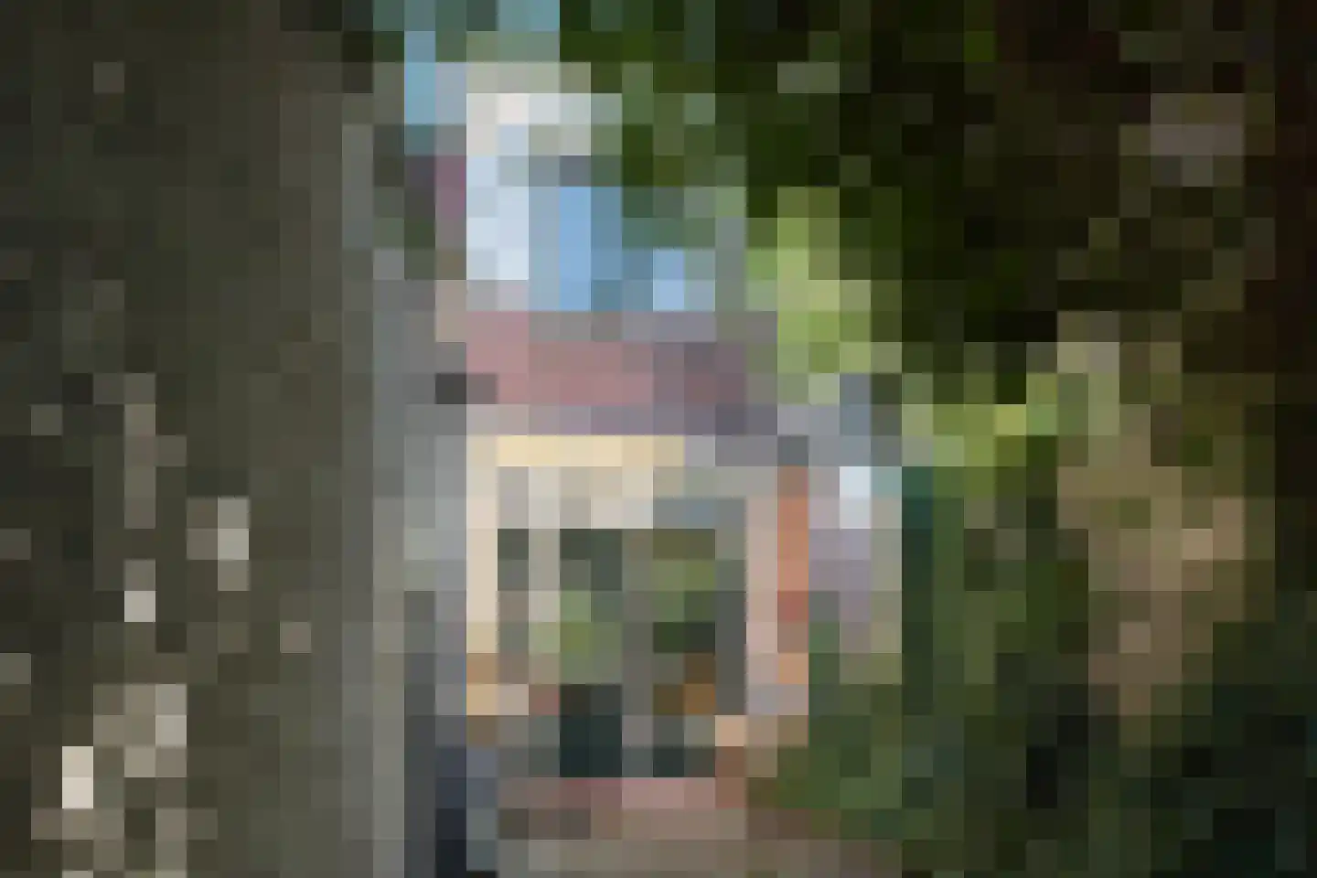 Anna Maria van Schurmansingel 23 Franeker thumbnail 26