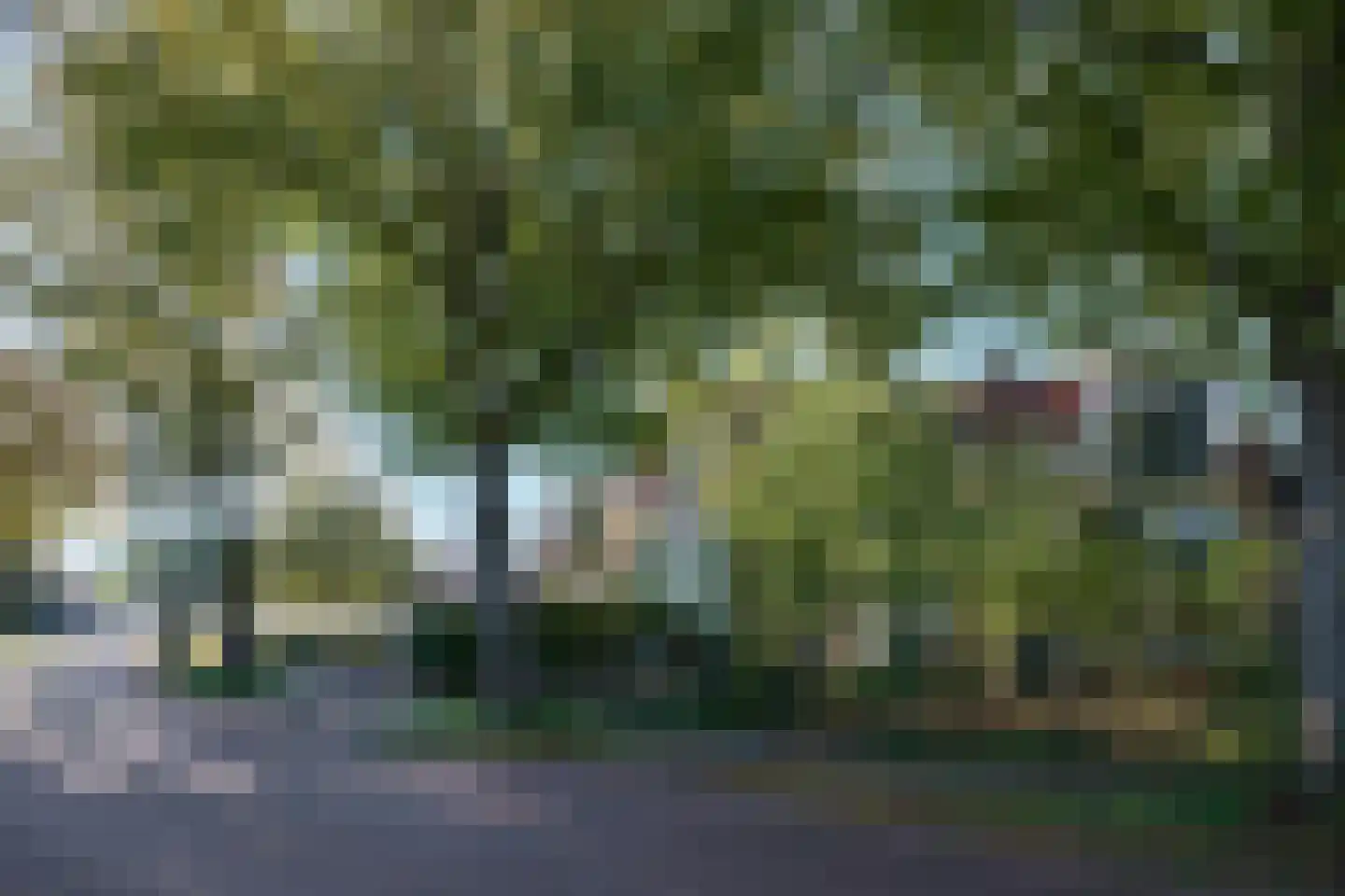 Anna Maria van Schurmansingel 23 Franeker thumbnail 34