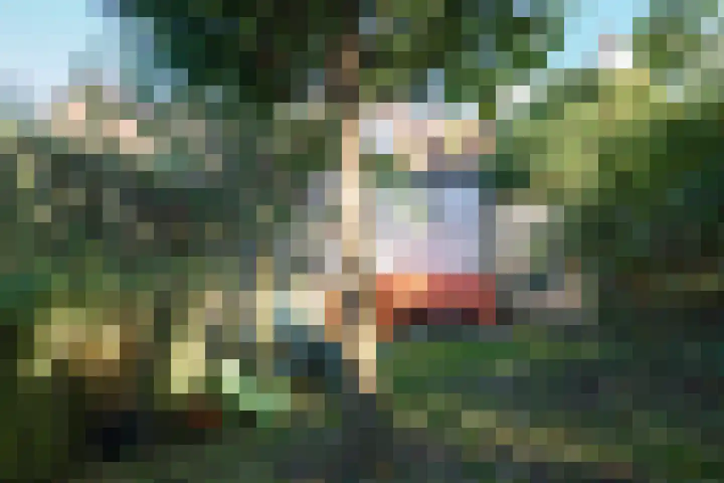 Anna Maria van Schurmansingel 23 Franeker thumbnail 6