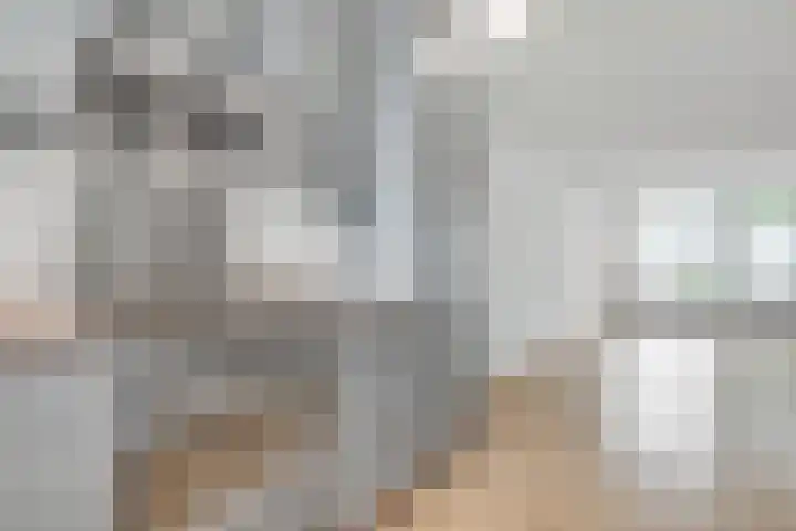 Anna Maria van Schuurmanlaan 25 Bilthoven thumbnail 4
