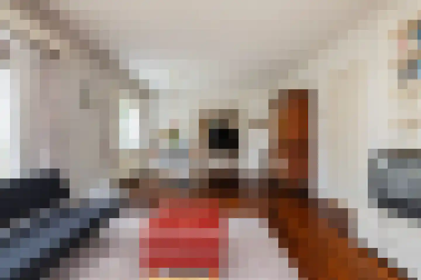 Anna Maria van Schuurmanlaan 4 Amersfoort thumbnail 18