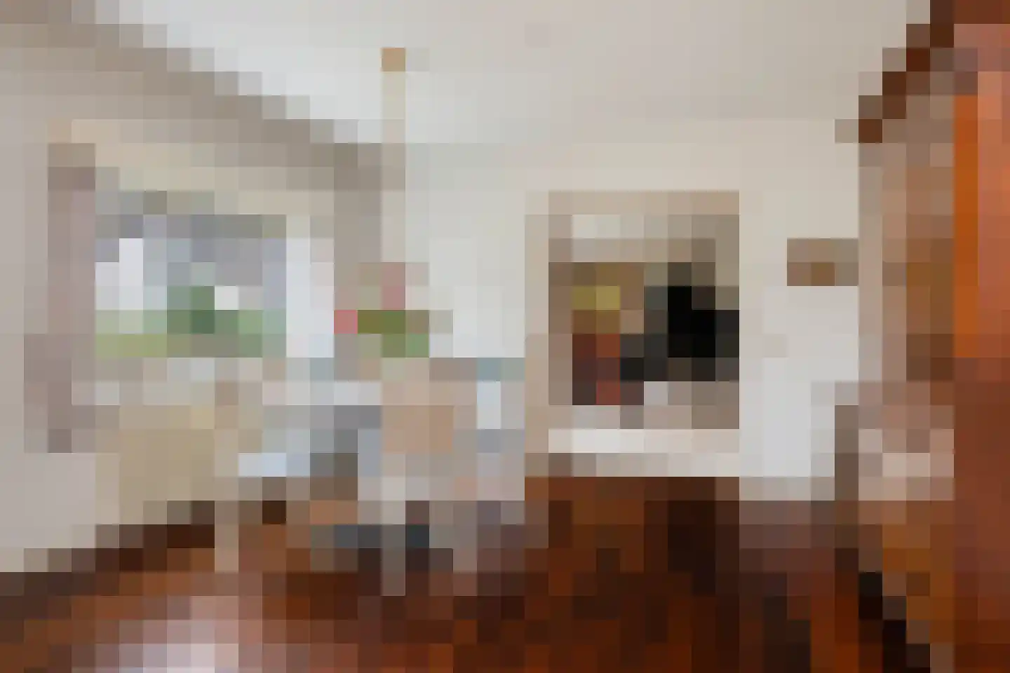 Anna Maria van Schuurmanlaan 4 Amersfoort thumbnail 19