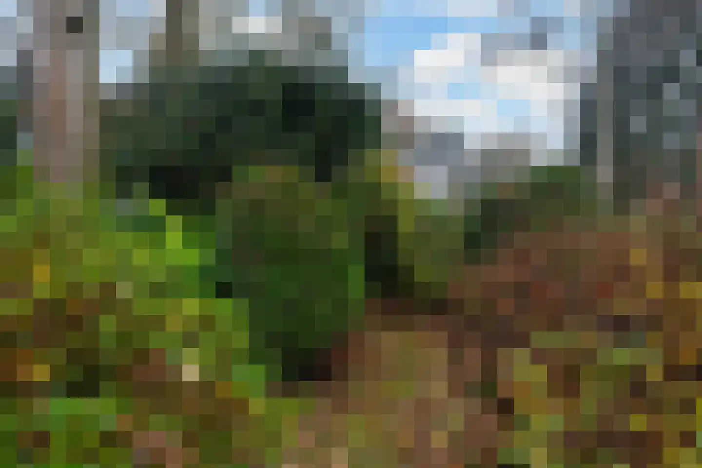Anna Maria van Schuurmanlaan 4 Amersfoort thumbnail 35