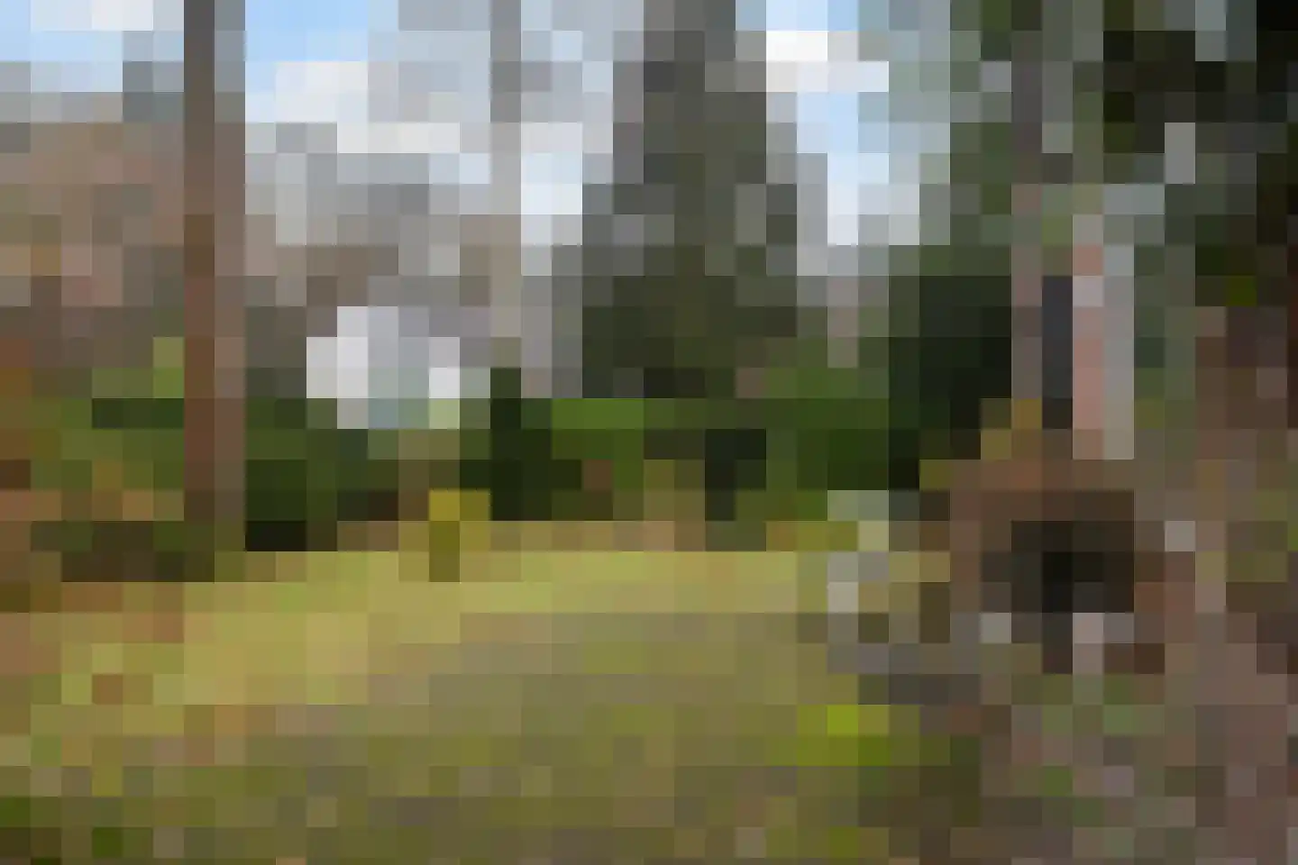 Anna Maria van Schuurmanlaan 4 Amersfoort thumbnail 38