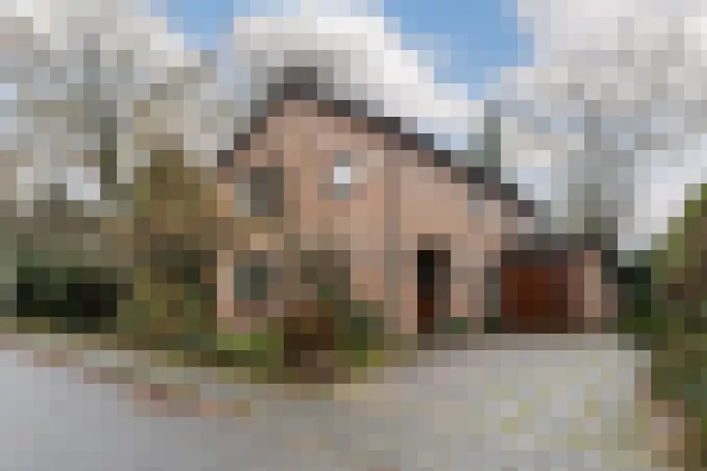 Anna Maria van Schuurmanlaan 4 Amersfoort thumbnail 5