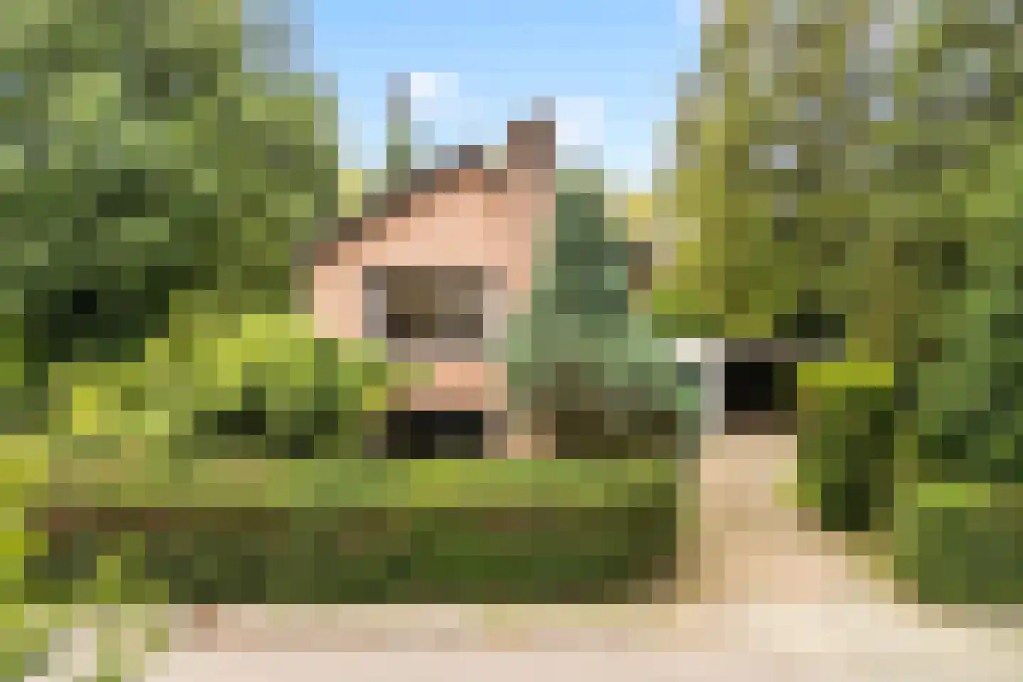 Anna Maria van Schuurmanlaan 8 Amersfoort thumbnail 45