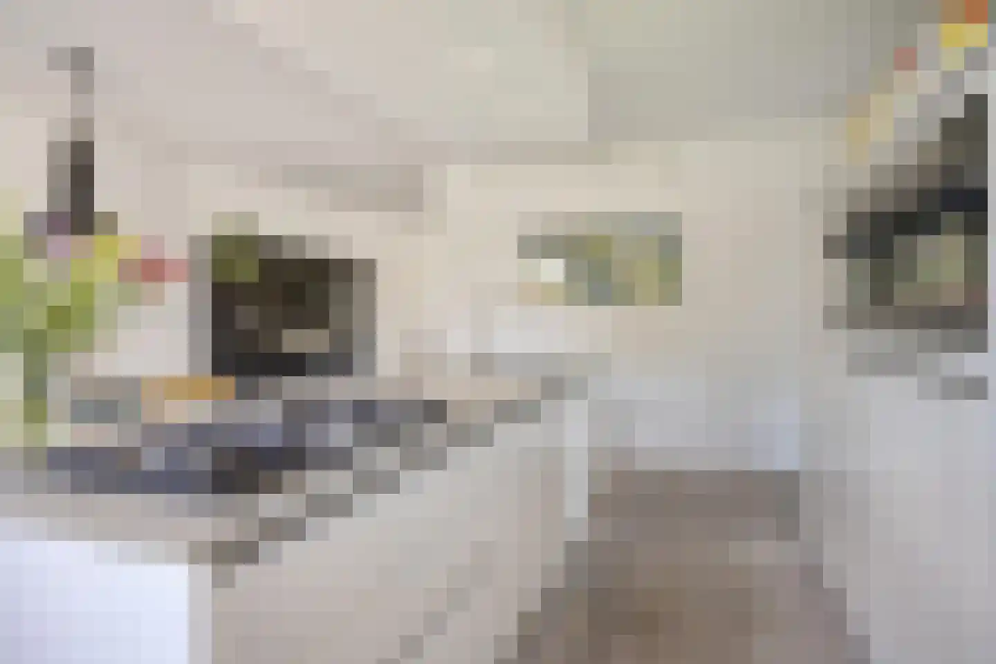 Anna Nabermanlaan 1 Kampen thumbnail 12
