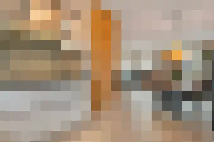 Anna Nabermanlaan 20 Kampen thumbnail 12