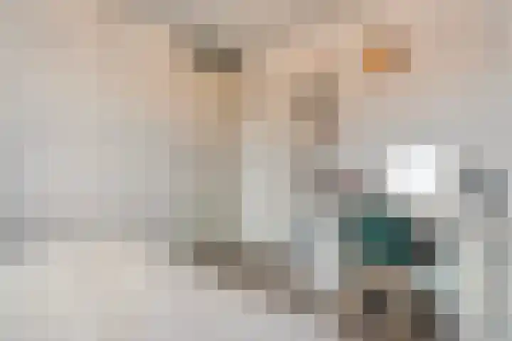 Anna Nabermanlaan 20 Kampen thumbnail 17