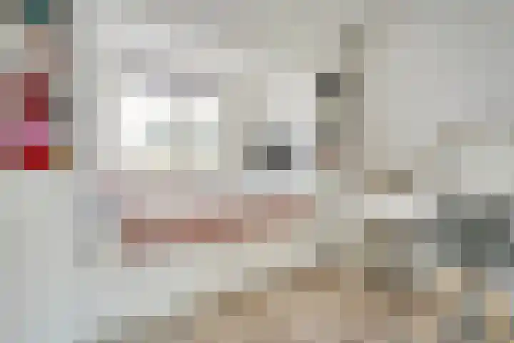 Anna Nabermanlaan 20 Kampen thumbnail 20