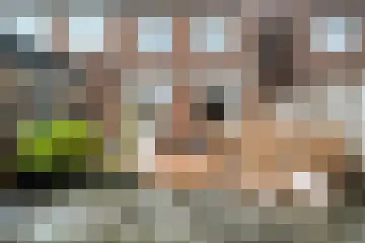 Anna Nabermanlaan 20 Kampen thumbnail 29