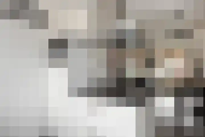 Anna Nabermanlaan 4 Kampen thumbnail 13