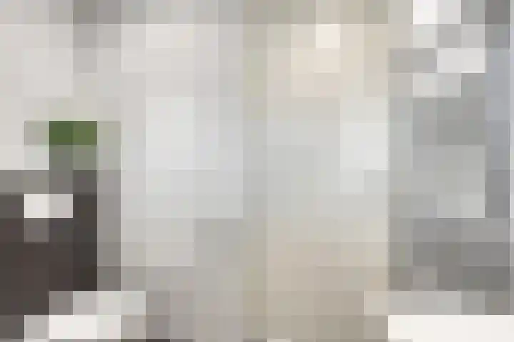 Anna Nabermanlaan 4 Kampen thumbnail 20