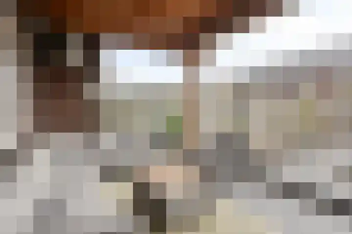Anna Nabermanlaan 4 Kampen thumbnail 30