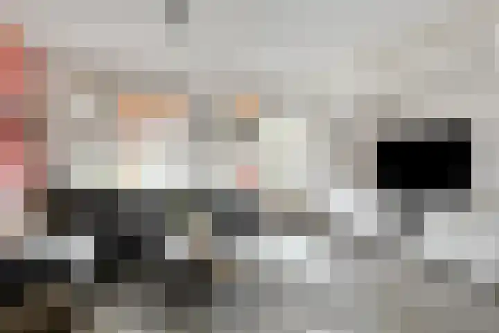 Anna Nabermanlaan 4 Kampen thumbnail 4