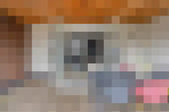 Anna Nabermanlaan 8 Kampen thumbnail 28