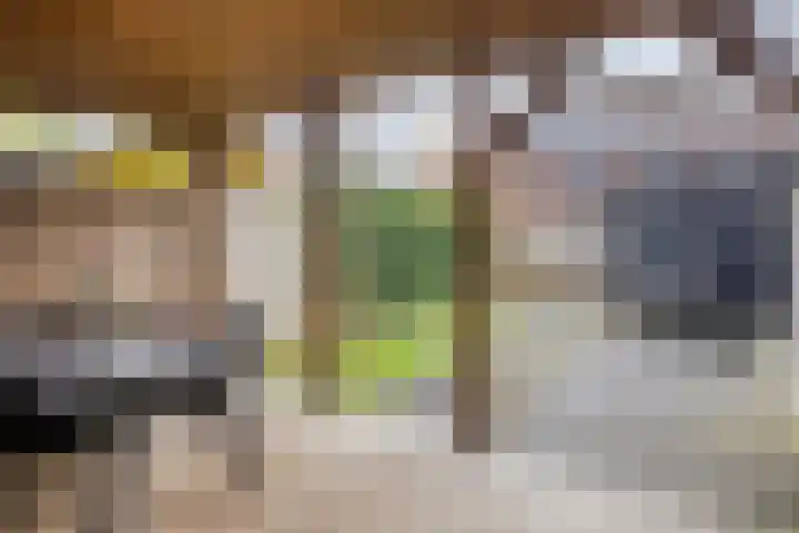 Anna Nabermanlaan 8 Kampen thumbnail 30