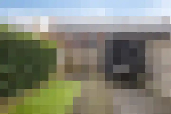 Anna Nabermanlaan 8 Kampen thumbnail 31