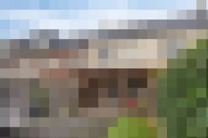Anna Nabermanlaan 8 Kampen thumbnail 32