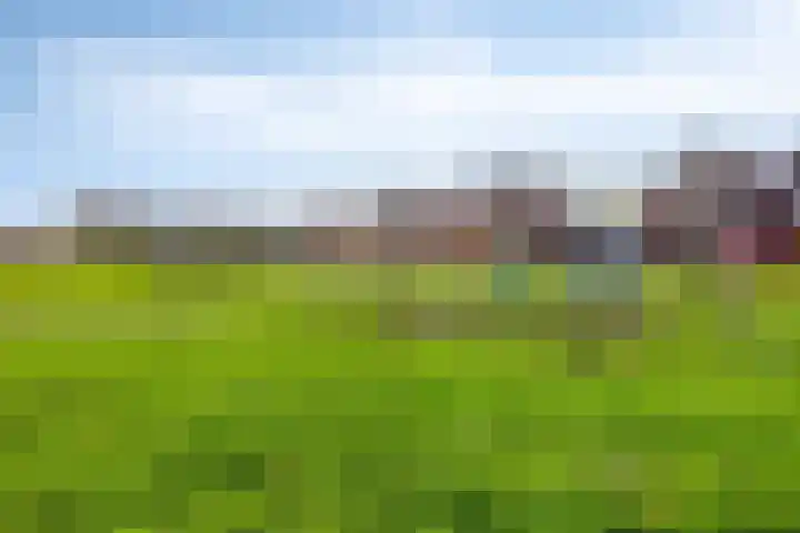 Anna Nabermanlaan 8 Kampen thumbnail 37