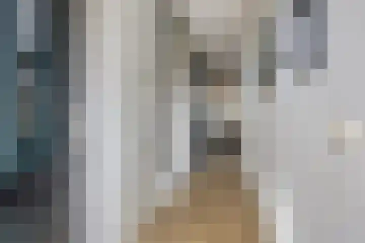 Anna Nabermanlaan 8 Kampen thumbnail 6