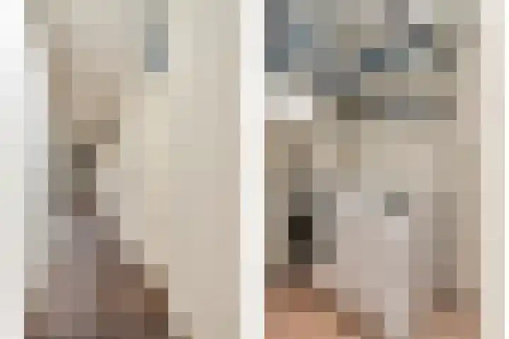 Anna Paulownahof 148 Tilburg thumbnail 19