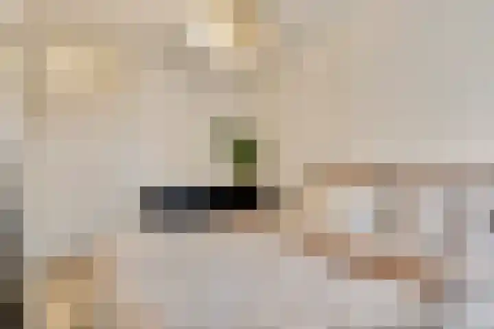 Anna Paulownahof 148 Tilburg thumbnail 21