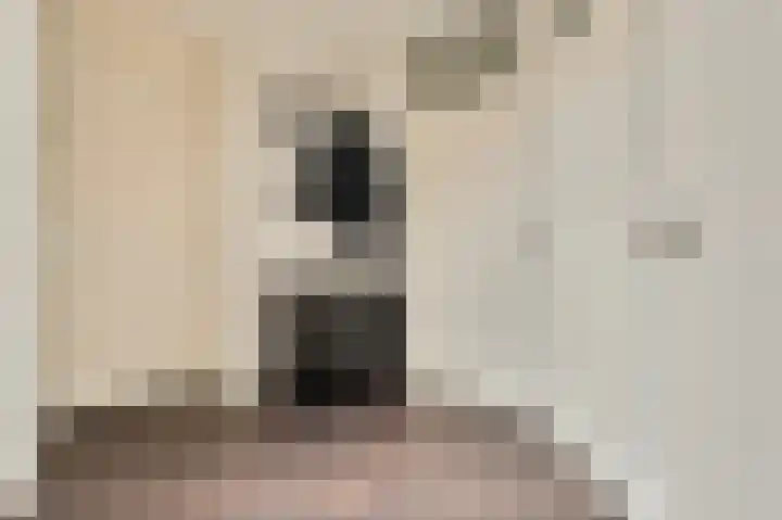 Anna Paulownahof 148 Tilburg thumbnail 24