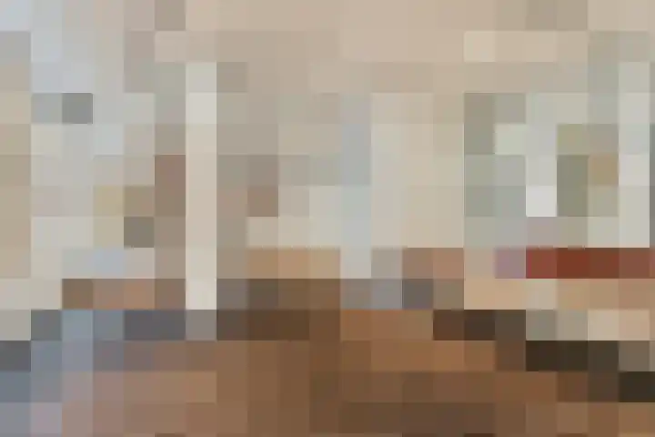 Anna Paulownahof 148 Tilburg thumbnail 29