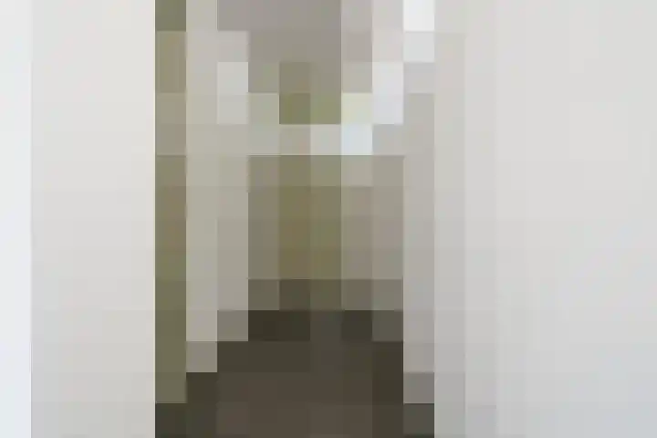 Anna Paulownahof 203 Tilburg thumbnail 11