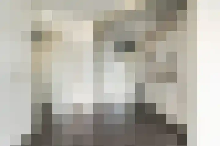 Anna Paulownahof 203 Tilburg thumbnail 20