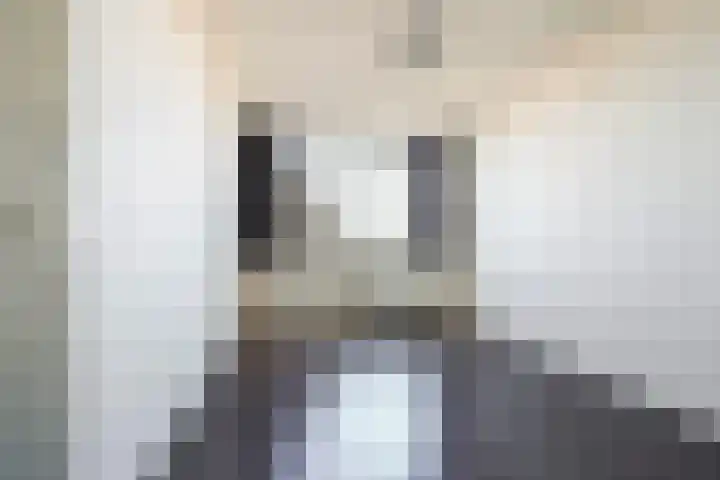 Anna Paulownahof 203 Tilburg thumbnail 23