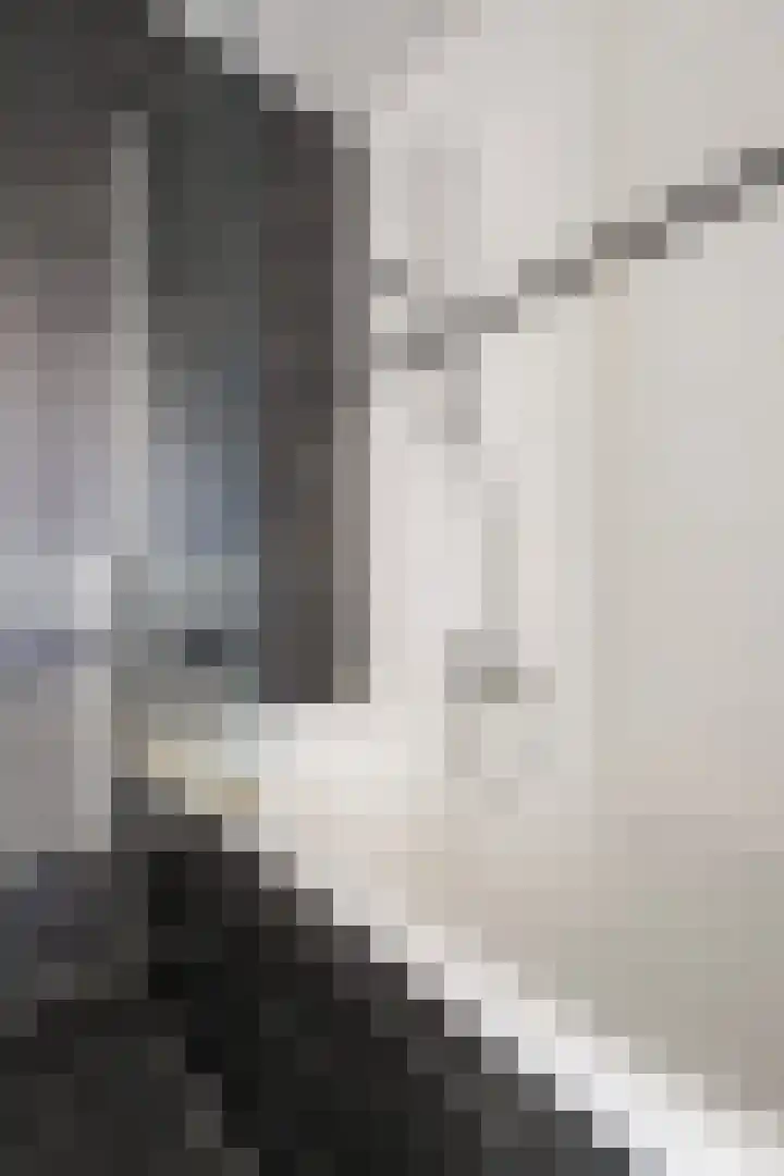 Anna Paulownahof 203 Tilburg thumbnail 27