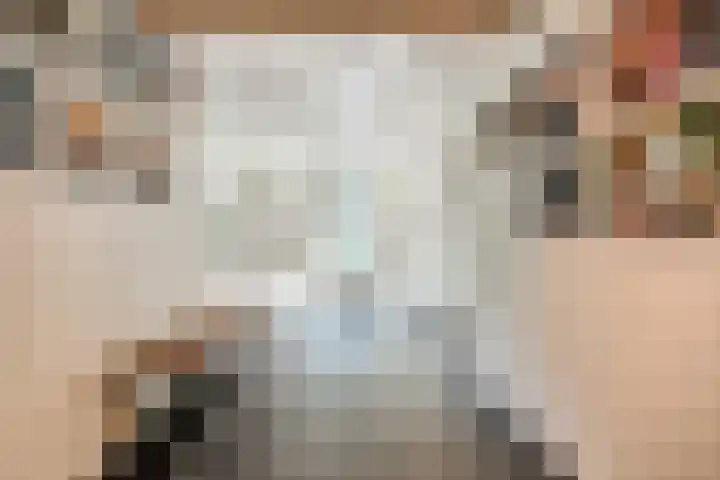 Anna Paulownahof 203 Tilburg thumbnail 6