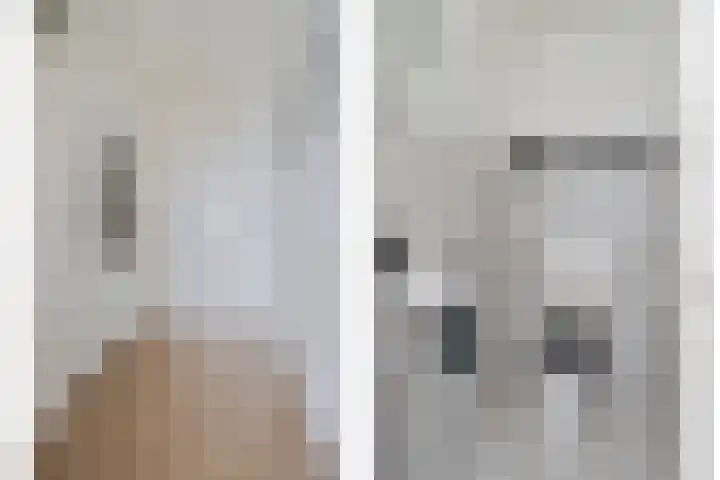 Anna Paulownahof 215 Tilburg thumbnail 19