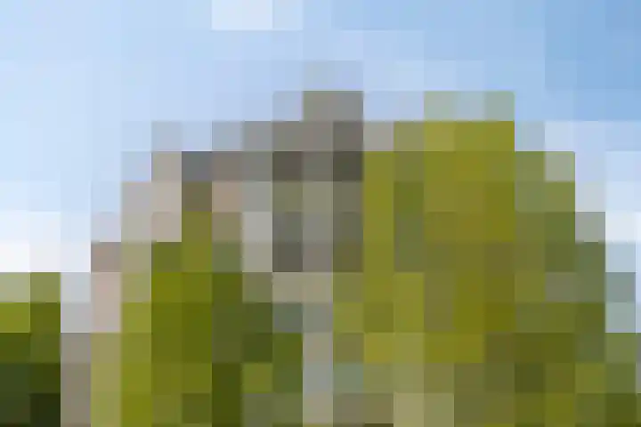 Anna Paulownahof 215 Tilburg thumbnail 25