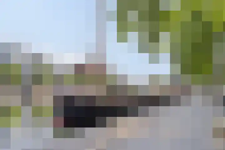 Anna Paulownahof 215 Tilburg thumbnail 30