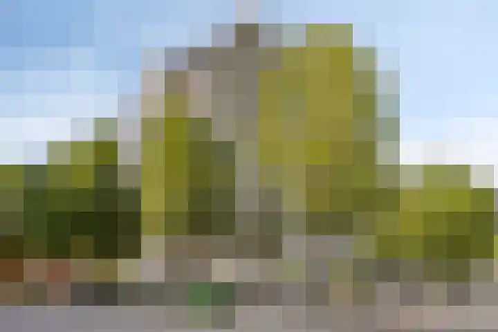 Anna Paulownahof 215 Tilburg thumbnail 40