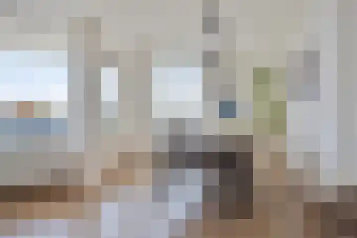 Anna Paulownahof 215 Tilburg thumbnail 8