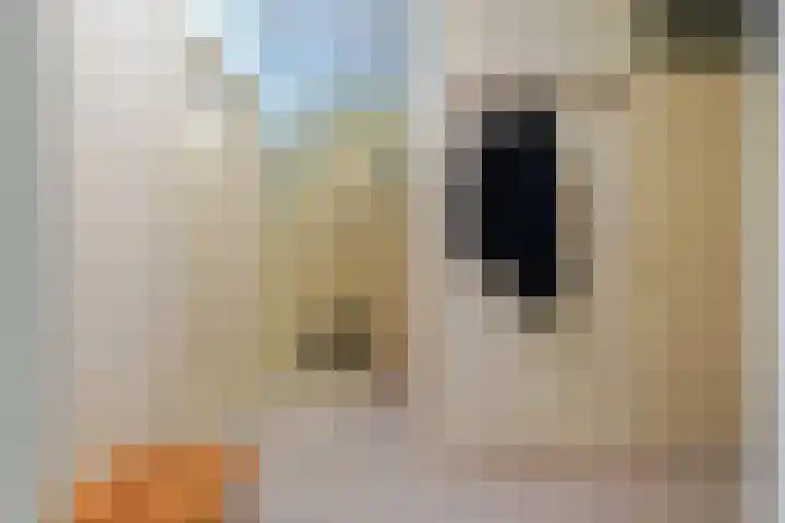 Anna Paulownahof 60 Tilburg thumbnail 13