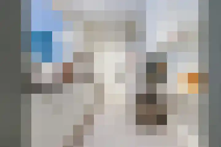 Anna Paulownahof 60 Tilburg thumbnail 20
