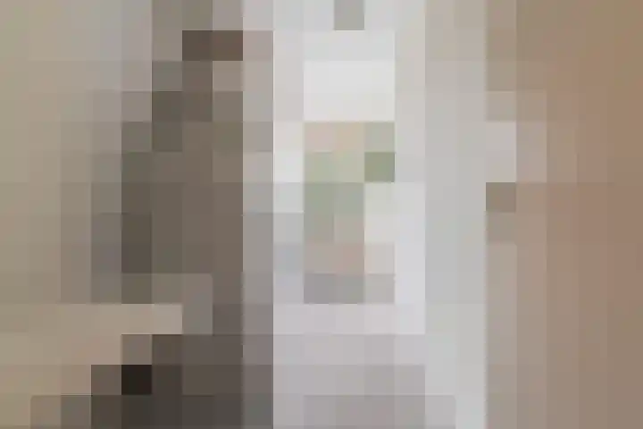 Anna Paulownahof 60 Tilburg thumbnail 21